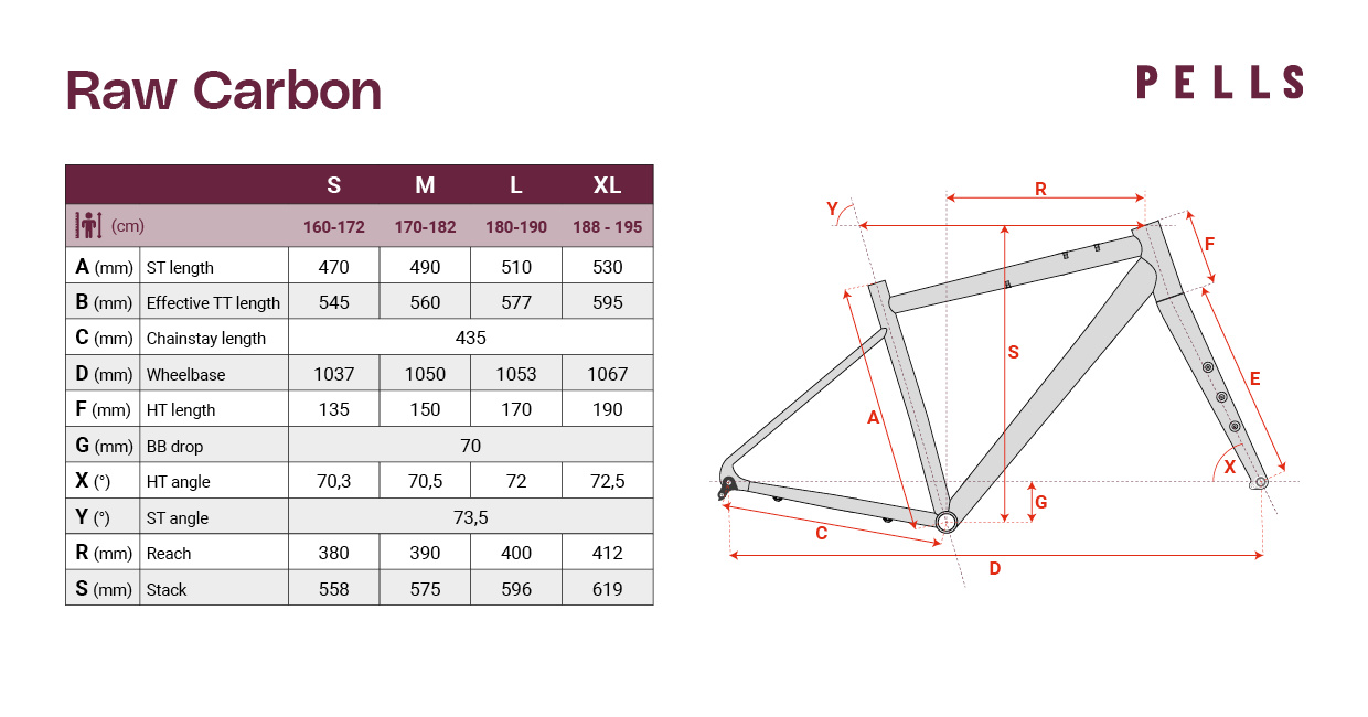 PELLS Raw Carbon 1 Future Dusk - M M